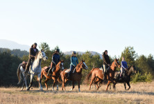 До всички проявили интерес към обявените курсове за водачи в конния туризъм